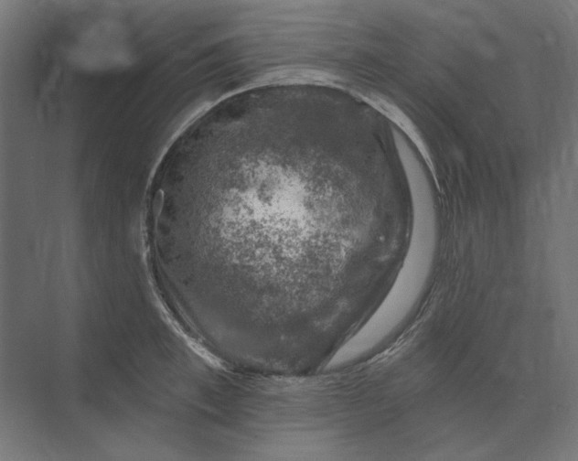 X0000074040997200609061203