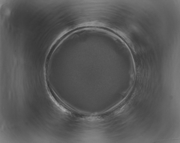 X0000074040998200609061203