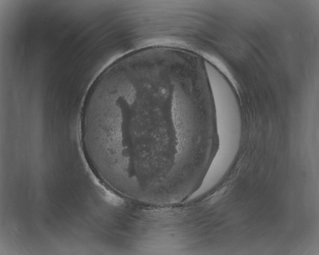 X0000074040999200609061203