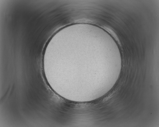 X0000074041000200609061203