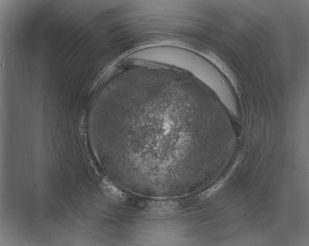 X0000074041001200609061203