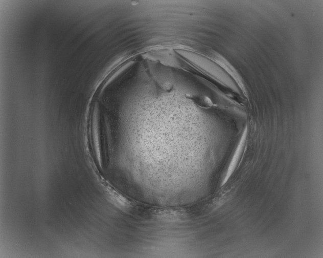 X0000074041002200609061203