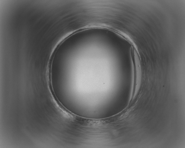 X0000074041003200609061203