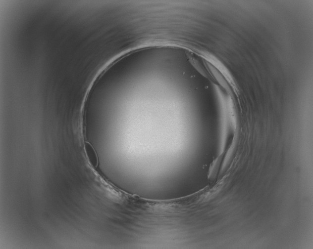 X0000074041004200609061203