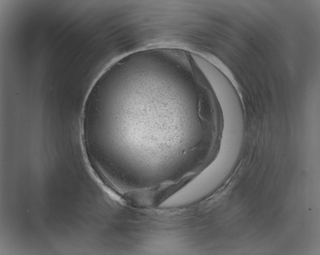 X0000074041005200609061203