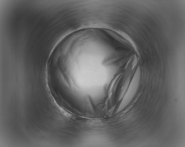 X0000074041006200609061203