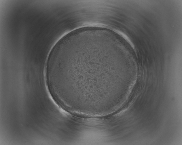 X0000074041007200609061203