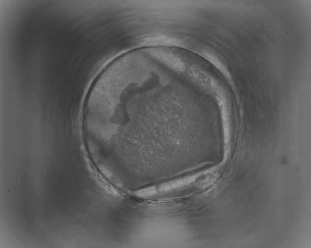 X0000074041008200609061202