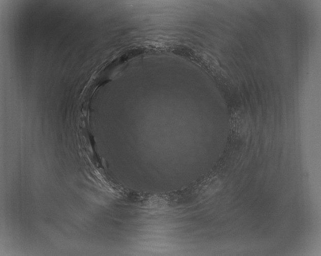 X0000074041009200609061202