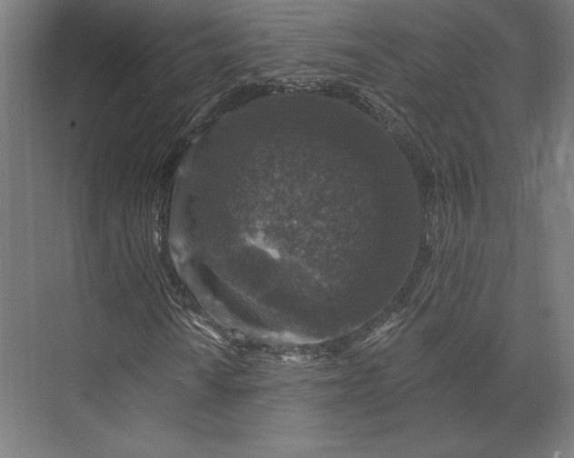 X0000074041010200609061202