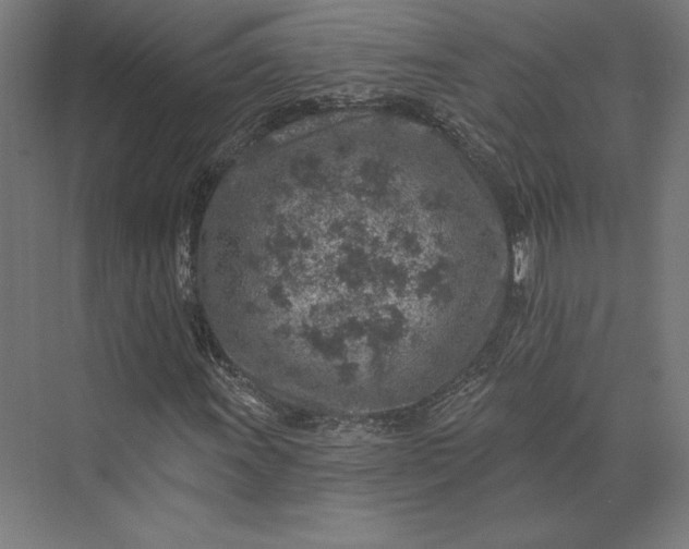 X0000074041011200609061202