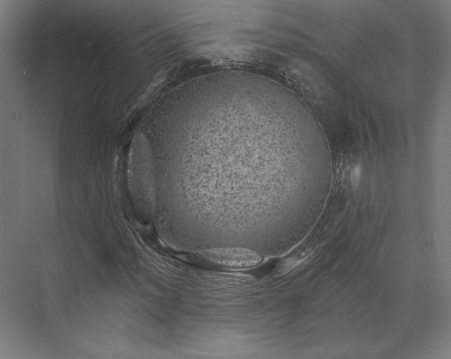 X0000074041012200609061202