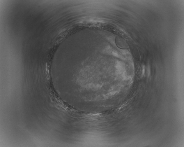 X0000074041013200609061202