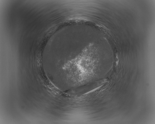 X0000074041014200609061202