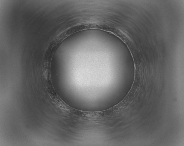 X0000074041015200609061202