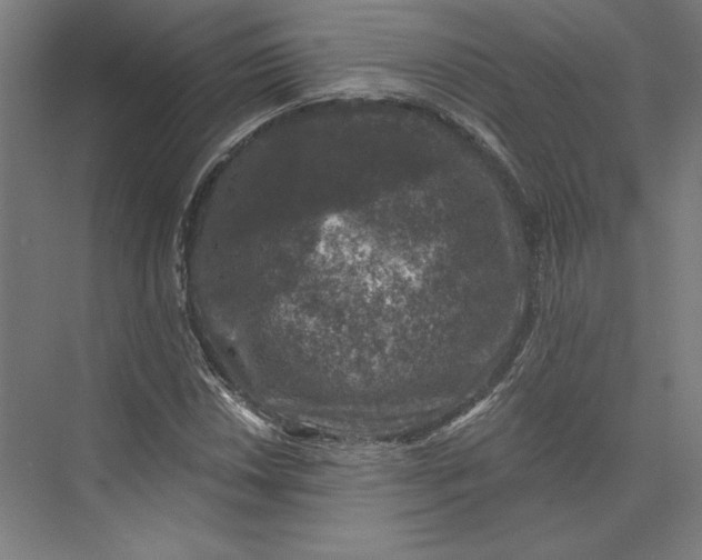 X0000074041018200609061202