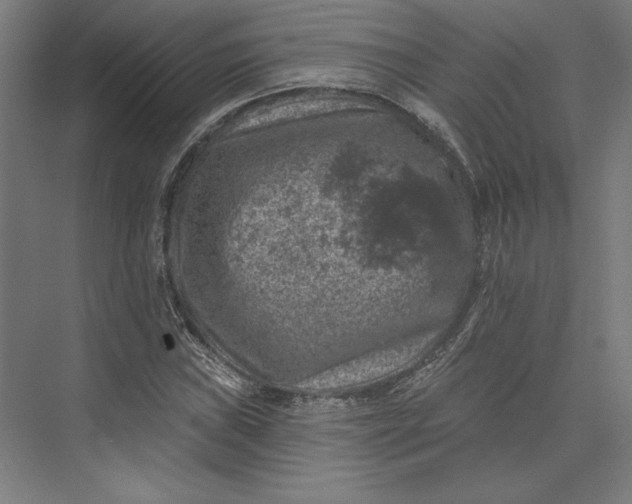 X0000074041019200609061202