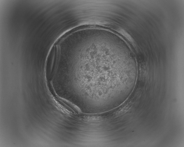 X0000074041020200609061202