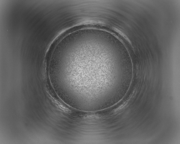 X0000074041021200609061202