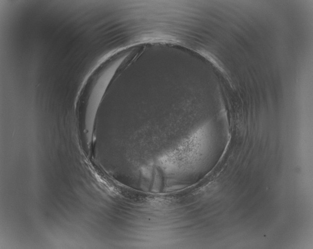 X0000074041022200609061202