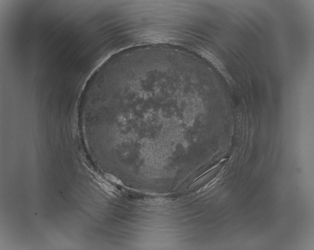 X0000074041023200609061202