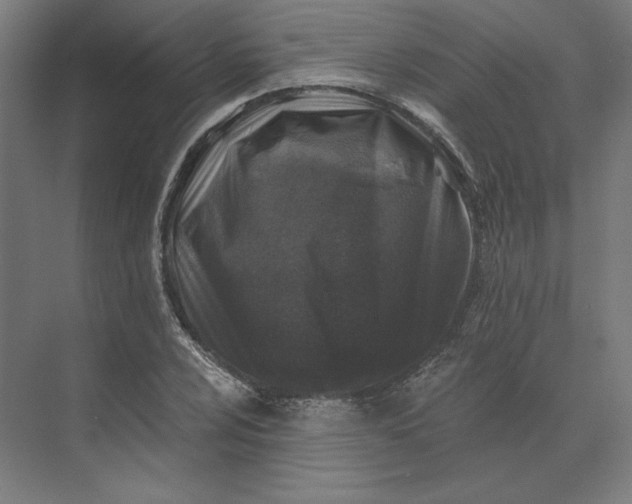 X0000074041024200609061202