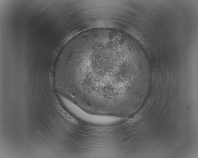 X0000074041025200609061202