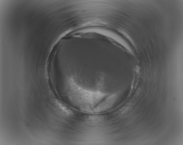 X0000074041026200609061202