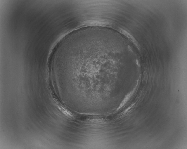 X0000074041027200609061202