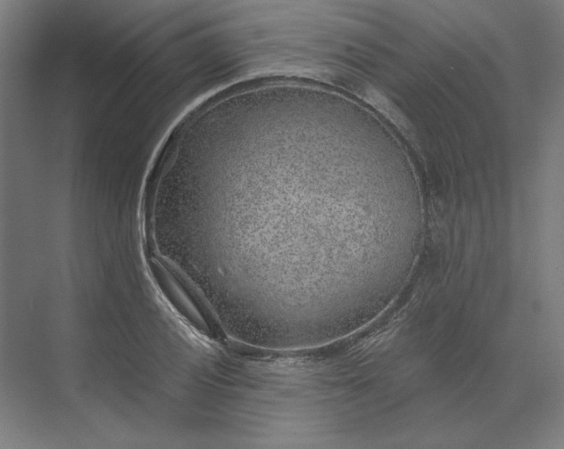 X0000074041028200609061202