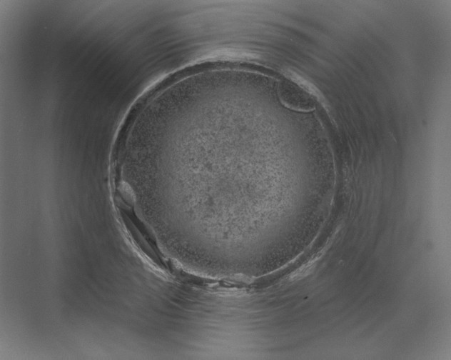 X0000074041029200609061202