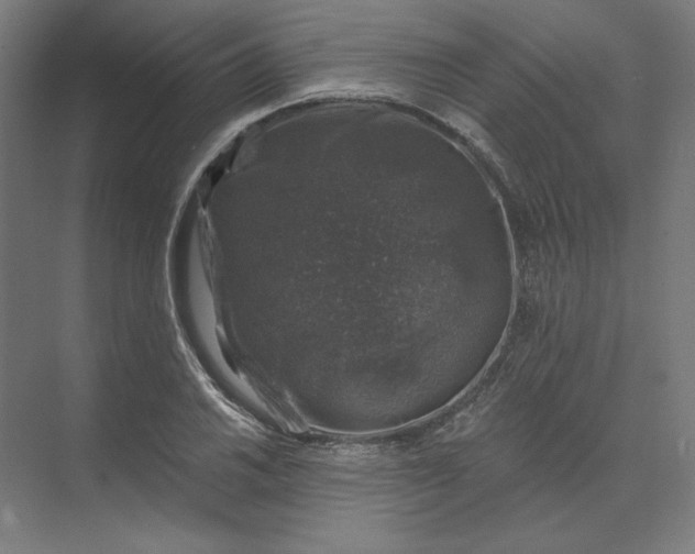 X0000074041030200609061202