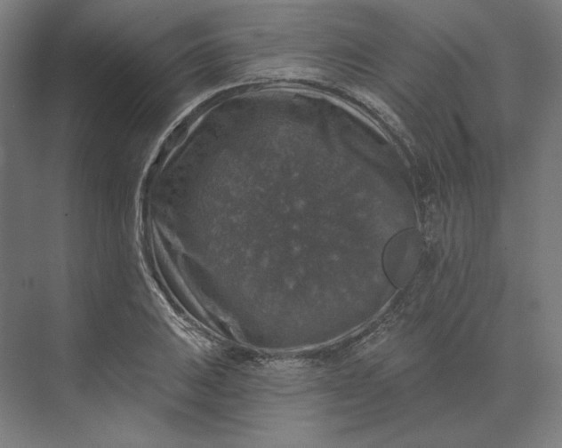 X0000074041031200609061202