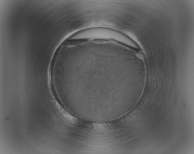 X0000074041032200609061202