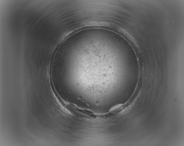 X0000074041033200609061202