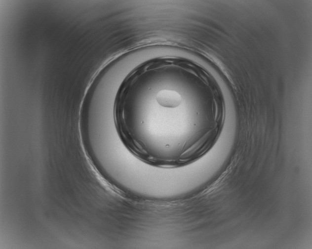 X0000074041034200609061202