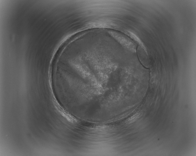 X0000074041035200609061202