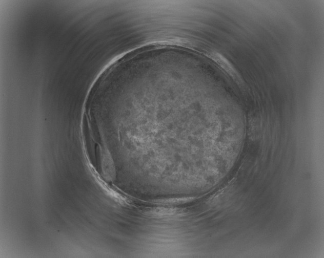 X0000074041036200609061202