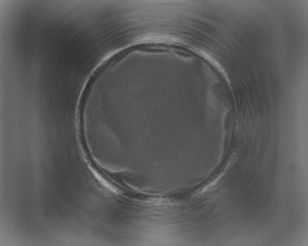 X0000074041037200609061202