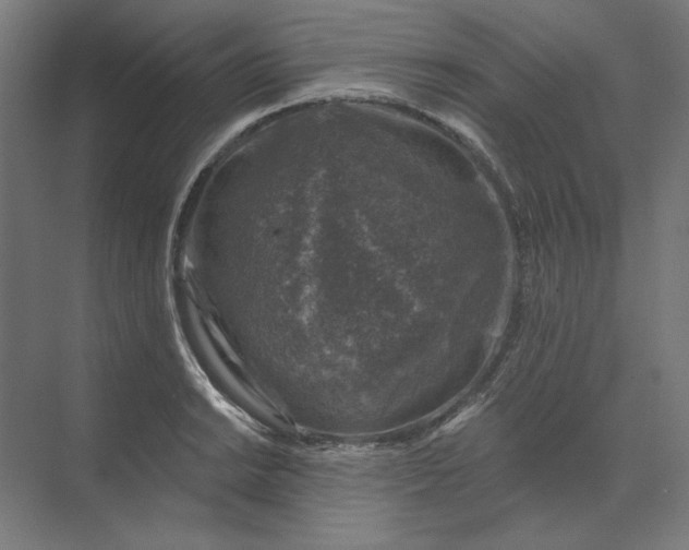 X0000074041038200609061202