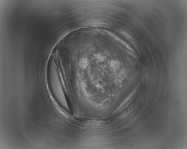 X0000074041039200609061202