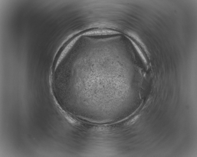 X0000074041040200609061202