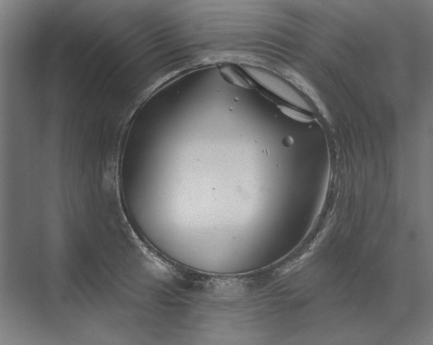 X0000074041041200609061202