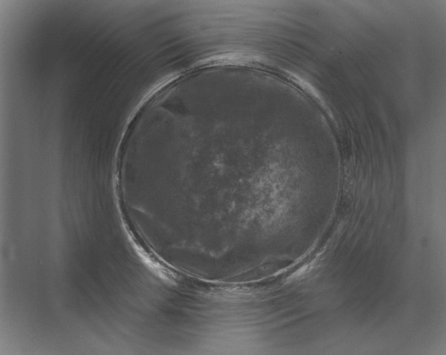 X0000074041042200609061202