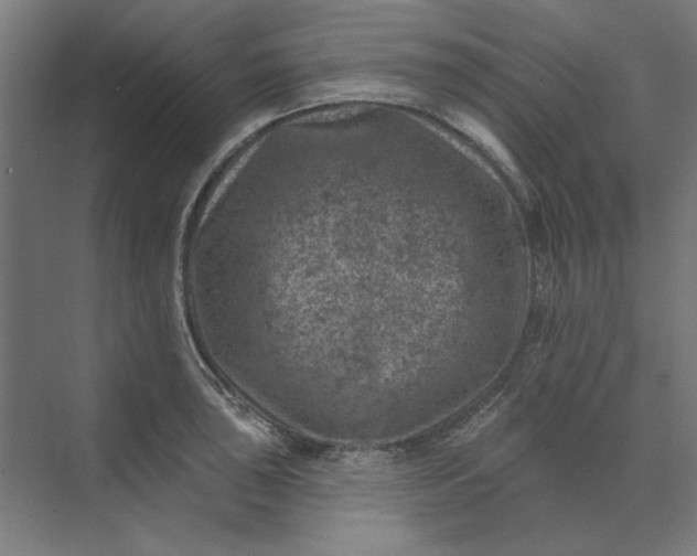 X0000074041043200609061202