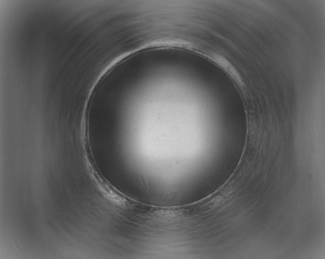 X0000074041044200609061202