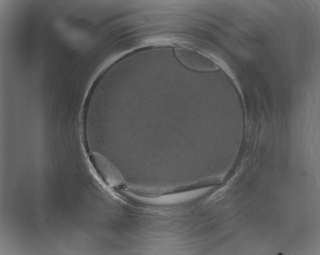 X0000074041045200609061202