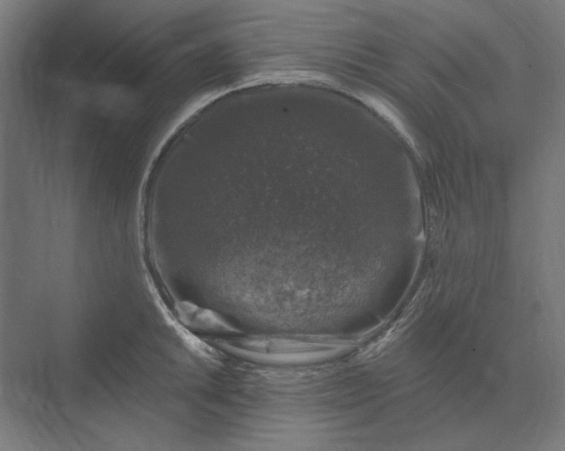 X0000074041046200609061202