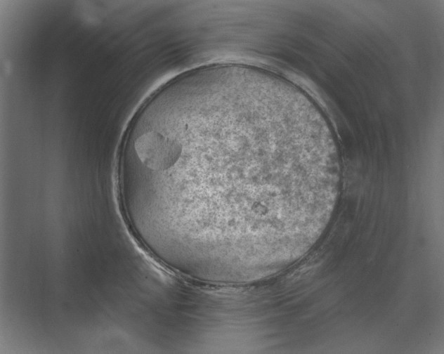 X0000074041048200609061202