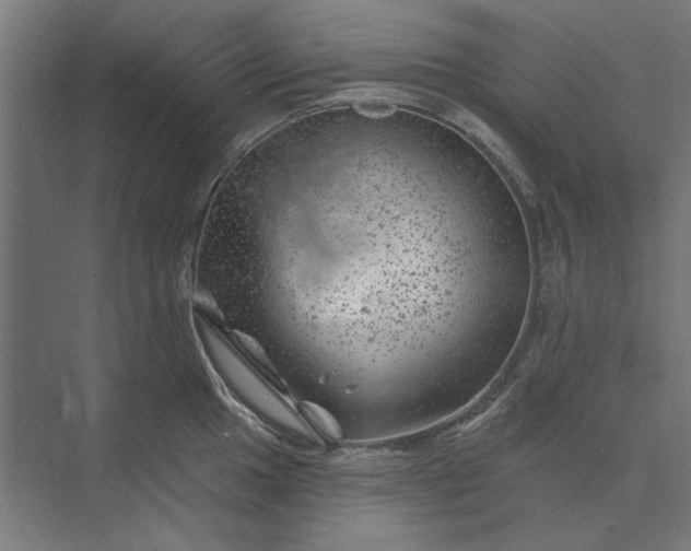 X0000074041049200609061202